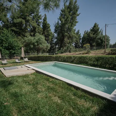 Stone Made Private Pool 3 Криопиги