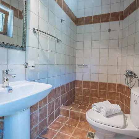 Stone Made Private Pool 3 * Kriopigi